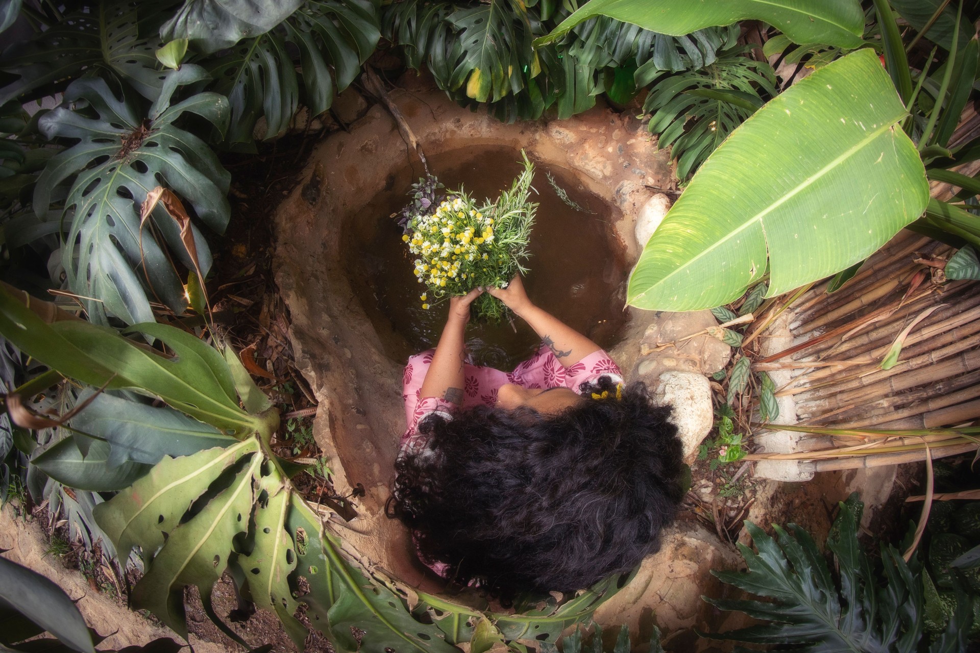 Herbalist Woman Herbalist Woman