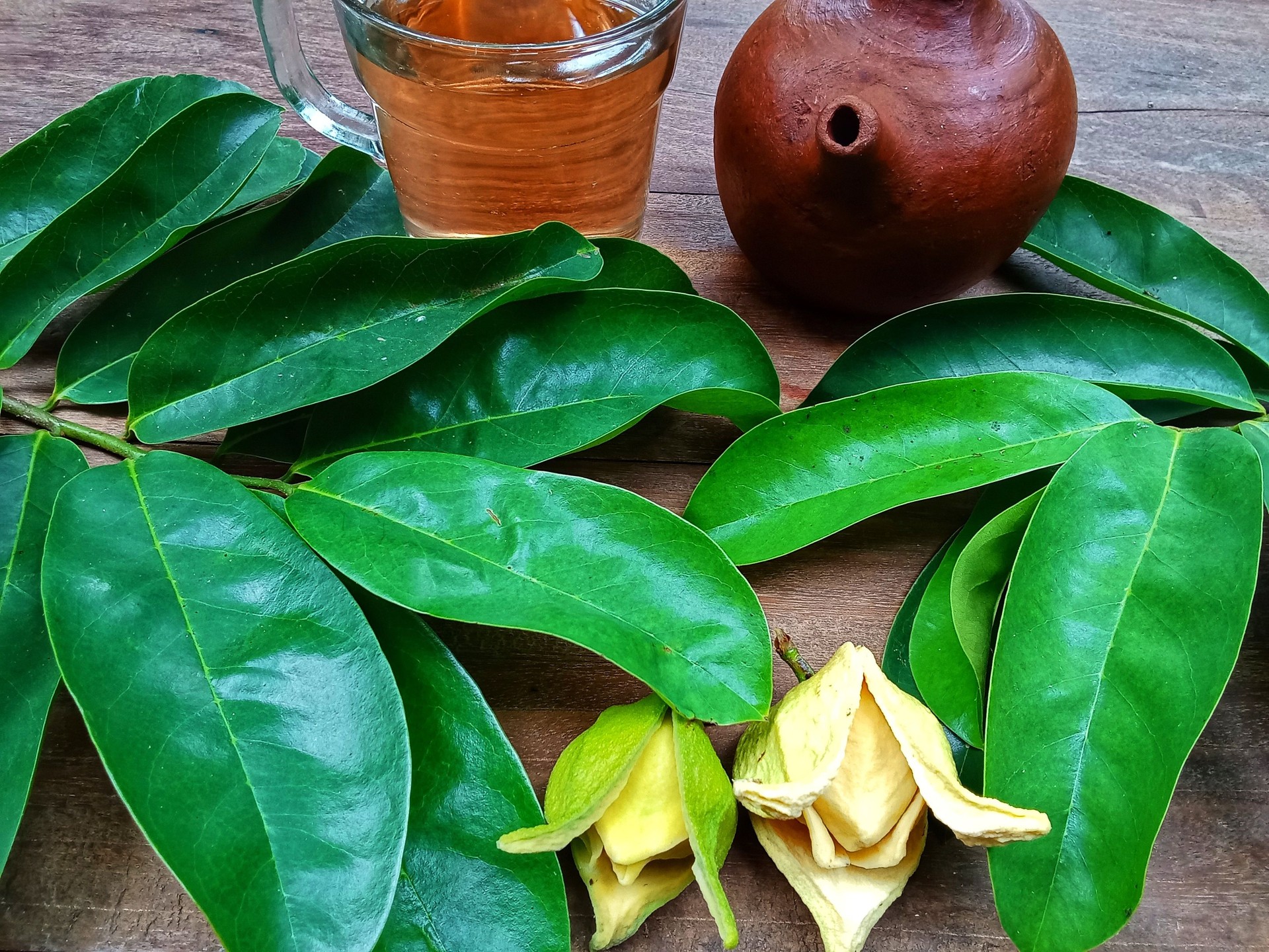 Soursop leaf tea Soursop leaf tea