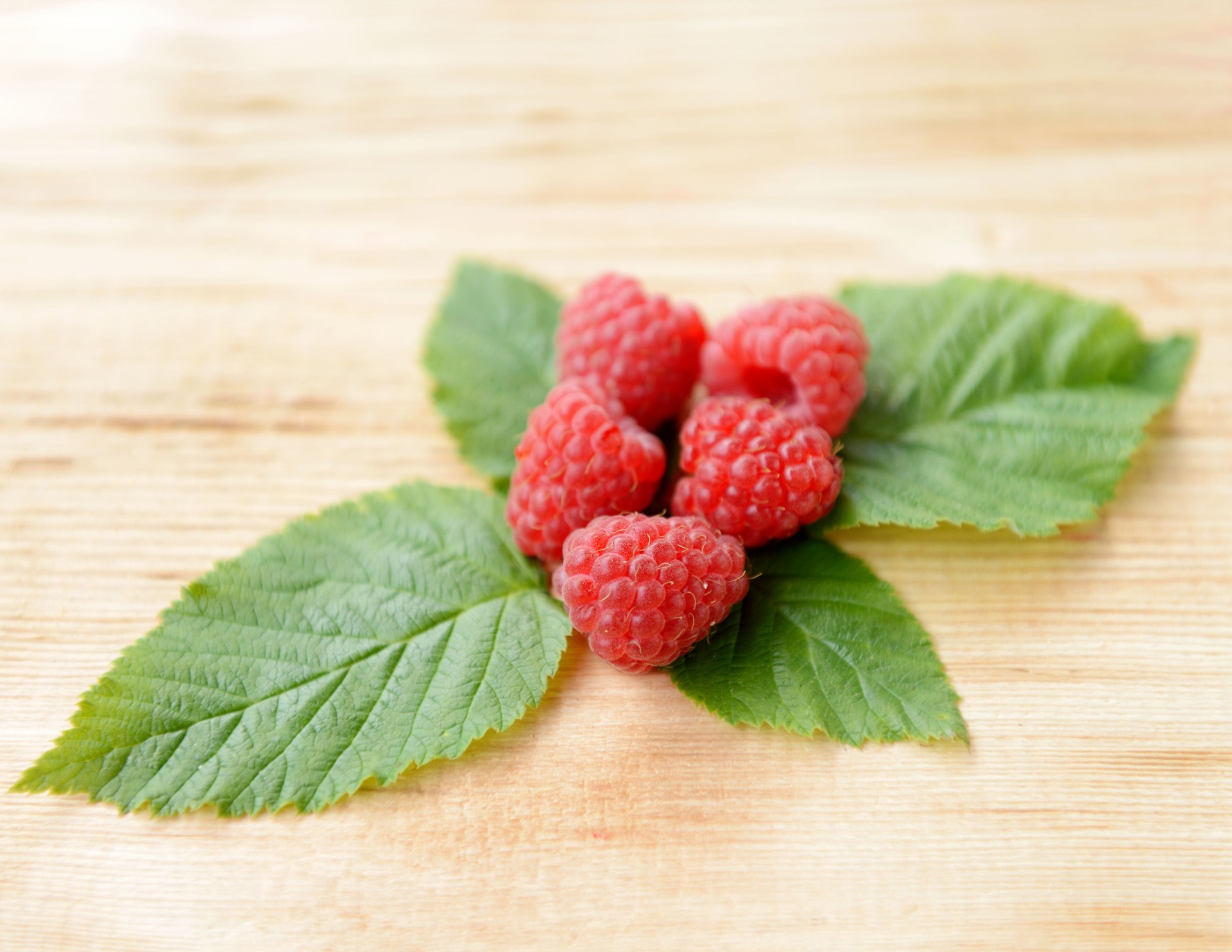 raspberries raspberries